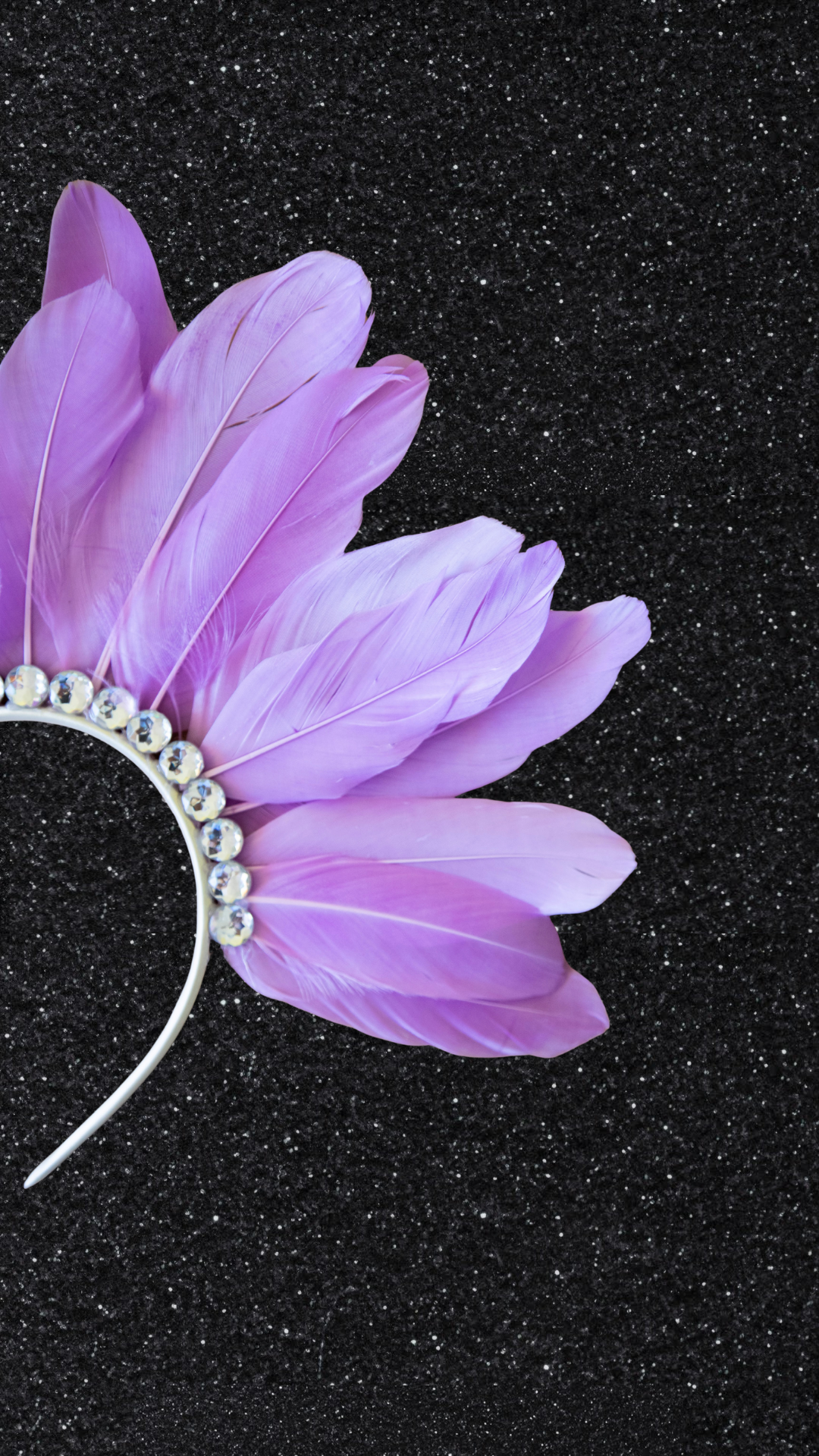 Diadema de Plumas